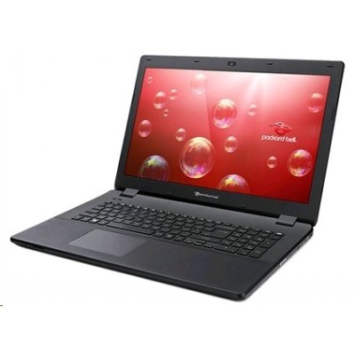 ноутбук Packard Bell EasyNote LG81BA-C2U9 NX.C44ER.001