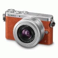 Фотоаппарат Panasonic Lumix DMC-GM1KEE-D