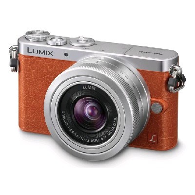 фотоаппарат Panasonic Lumix DMC-GM1KEE-D