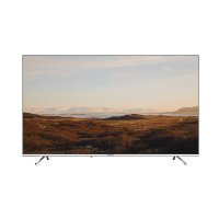 Телевизор Panasonic TX-49GXR600