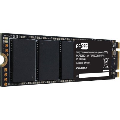 SSD диск PC PET 256Gb PCPS256G1
