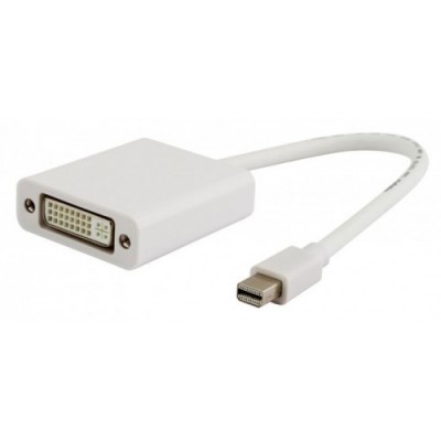 Display port mini male to DVI female