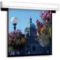 Экран для проектора Projecta Advantage Deluxe Electrol 10130667