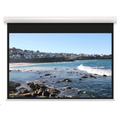 экран для проектора Projecta Elpro Concept 10103539