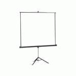 Экран для проектора Projecta Professional 10400044