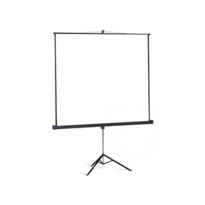 экран для проектора Projecta Professional 10400044