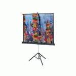 Экран для проектора Projecta Professional 10430105