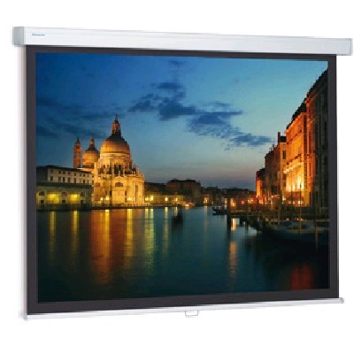 экран для проектора Projecta ProScreen 10200006