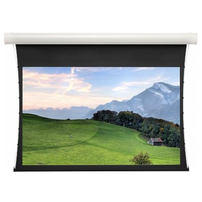 экран для проектора Projecta Tensioned Elpro Concept 10103969