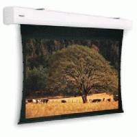 Экран для проектора Projecta Tensioned Elpro Large Electrol 10102691