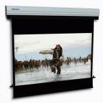 Экран для проектора Projecta VariVision Electrol 10100505