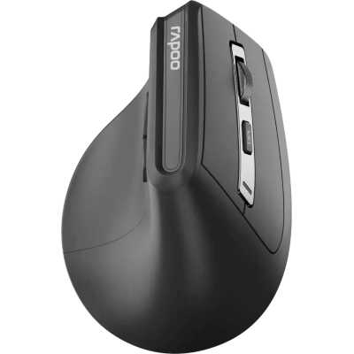 Мышь Rapoo EV310M-DGR Black