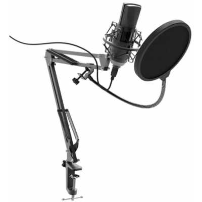 Микрофон Ritmix RDM-180 Black
