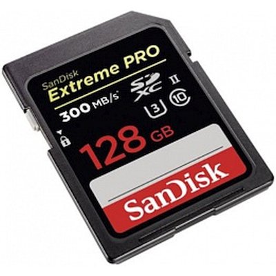 карта памяти SanDisk 128GB SDSDXPK-128G-GN4IN