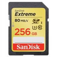 Карта памяти SanDisk 256GB SDSDXN-256G-G46