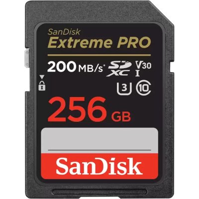 Карта памяти SanDisk 256GB SDSDXXD-256G-GN4IN