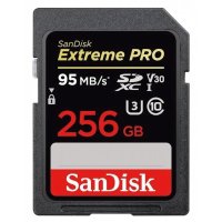 SanDisk 256GB SDSDXXY-256G-GN4IN