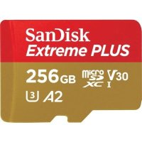SanDisk 256GB SDSQXBZ-256G-GN6MA