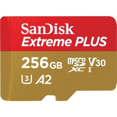 карта памяти SanDisk 256GB SDSQXBZ-256G-GN6MA