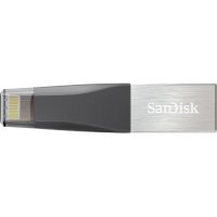 Флешка SanDisk 32GB SDIX40N-032G-GN6NN