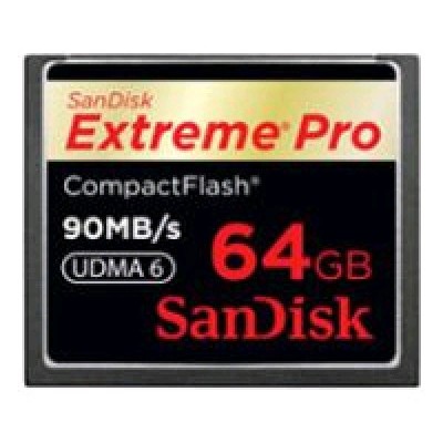 карта памяти SanDisk 64GB SDCFXP-064G-E91