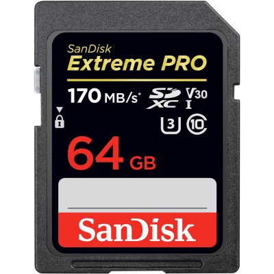 карта памяти SanDisk 64GB SDSDXXY-064G-GN4IN