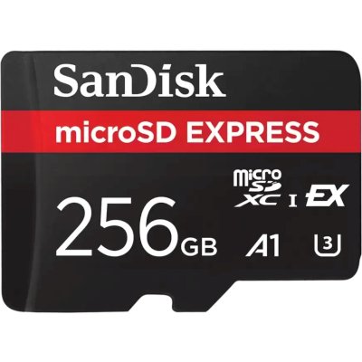 Карта памяти SanDisk Express 256GB SDSQXFN-256G-GN4NN
