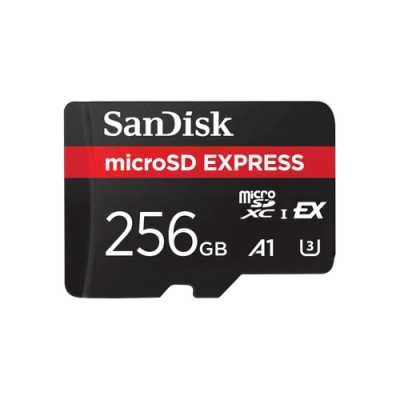 карта памяти SanDisk Express 256GB SDSQXFN-256G-GR6ZN