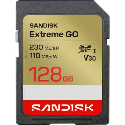 SanDisk Extreme Go 128GB SDSDXGN-128G-GNCIN