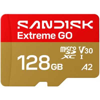 карта памяти SanDisk Extreme Go 128GB SDSQXGN-128G-GN6MN