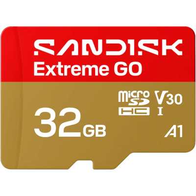 Карта памяти SanDisk Extreme Go 32GB SDSQXGN-032G-GN6MN