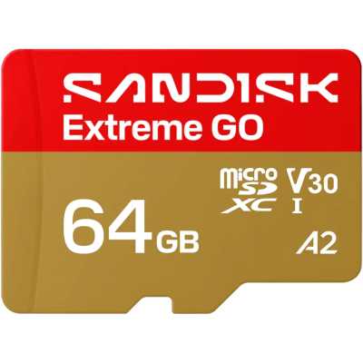 Карта памяти SanDisk Extreme Go 64GB SDSQXGN-064G-GN6MN