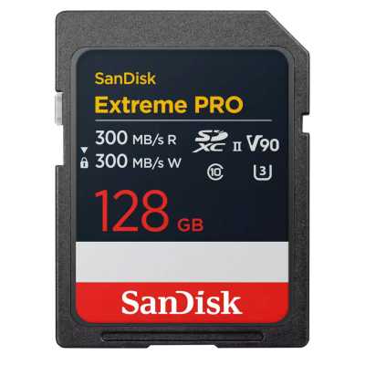 SDSDXDM-128G-GN4IN