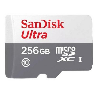 Карта памяти SanDisk Ultra 256GB SDSQUNR-256G-GN3MN