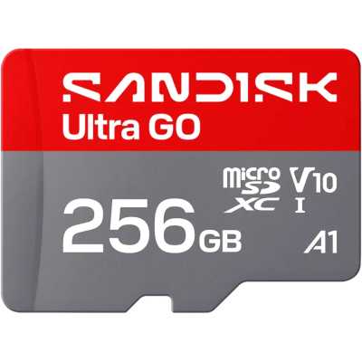 Карта памяти SanDisk Ultra Go 256GB SDSQUGN-256G-GN6MN