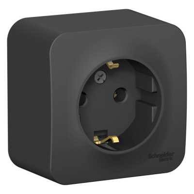 Розетка силовая Schneider Electric Blanca BLNRA010116