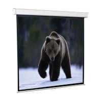 Экран для проектора ScreenMedia Economy SEM-1101