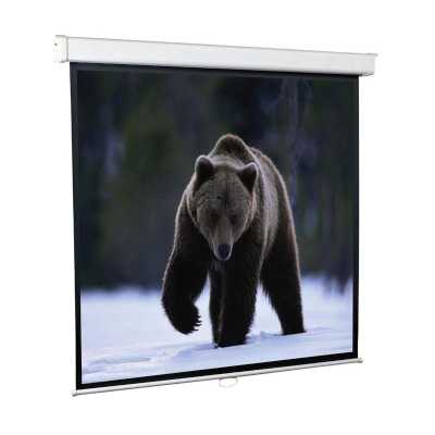 экран для проектора ScreenMedia Economy SEM-1101
