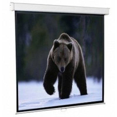 экран для проектора ScreenMedia Economy SEM-43031
