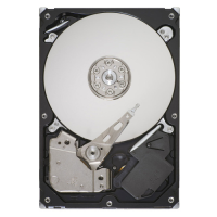Жесткий диск Seagate ST3250410AS