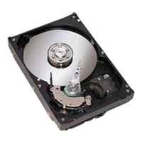 Жесткий диск Seagate ST3400832AS