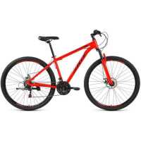 Велосипед Skif 29 Disc 2021 RBKK1M39G004