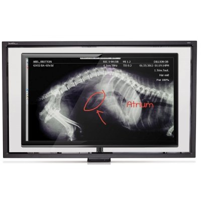 Smart Board SBID-L442