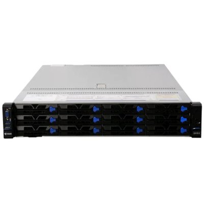 Серверная платформа SNR SNR-SR2412LS
