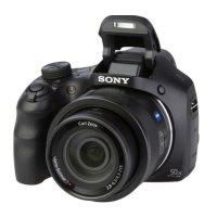 Фотоаппарат Sony Cyber-shot DSC-HX350 Black