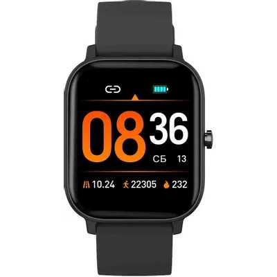 Смарт часы SunWind SW30 Black