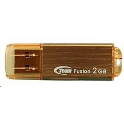 флешка Team Group 2GB F105 Brown TG002GF105CX