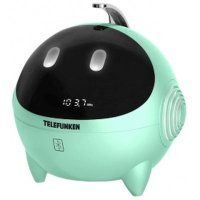 Магнитола Telefunken TF-1634UB Mint-White