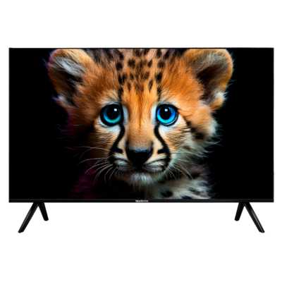 Телевизор Topdevice TDTV55ES13U_BK