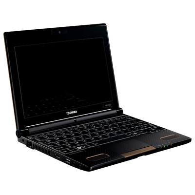 нетбук Toshiba NB550D-10K